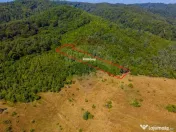 Teren 6,000mp Crizbav / Strada principala 