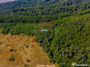 Teren 6,000mp Crizbav / Strada principala 