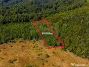 Teren 6,000mp Crizbav / Strada principala 