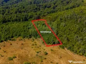 Teren 6,000mp Crizbav / Strada principala 