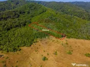 Teren 6,000mp Crizbav / Strada principala 