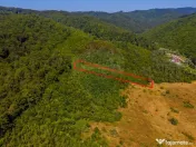 Teren 6,000mp Crizbav / Strada principala 