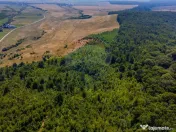 Teren 6,000mp Crizbav / Strada principala 