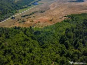 Teren 6,000mp Crizbav / Strada principala 