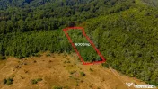 Teren 6,000mp Crizbav / Strada principala