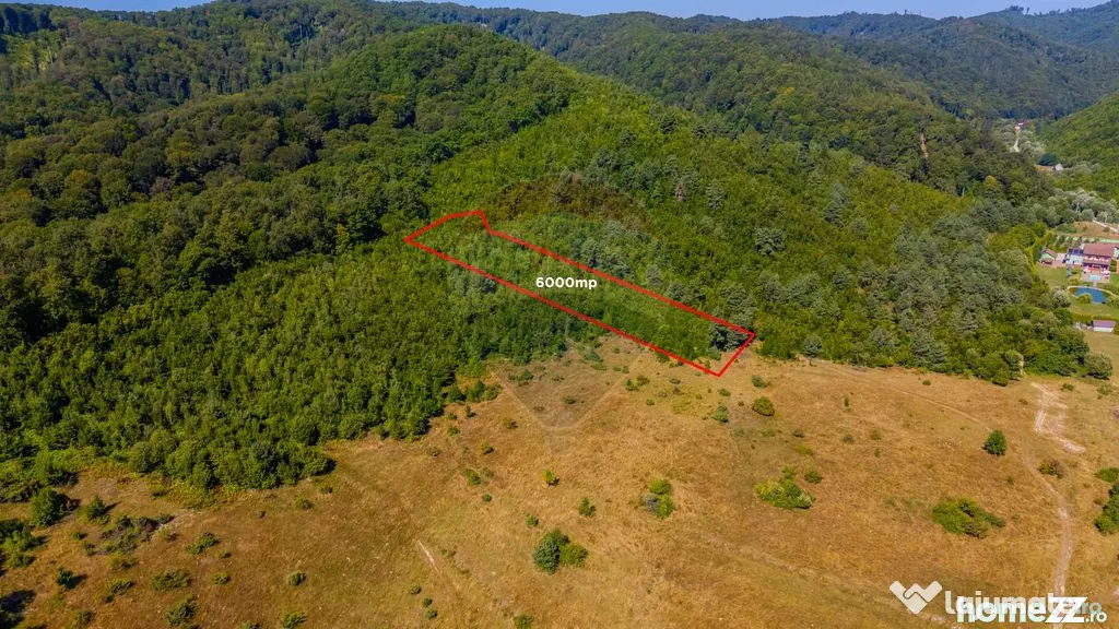 Teren 6,000mp Crizbav / Strada principala