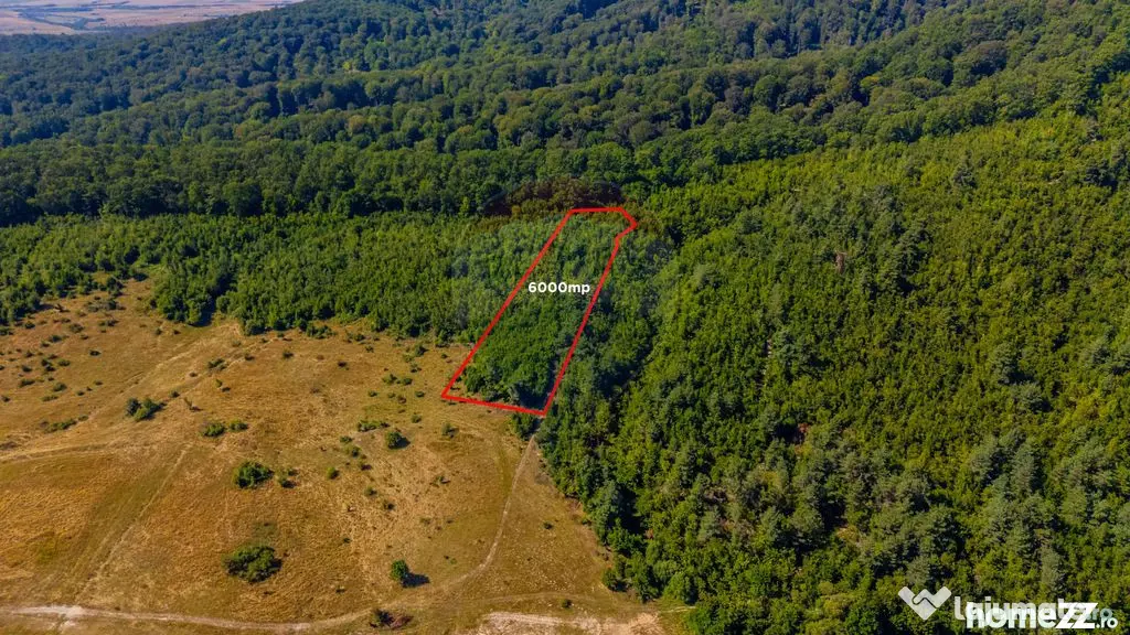 Teren 6,000mp Crizbav / Strada principala