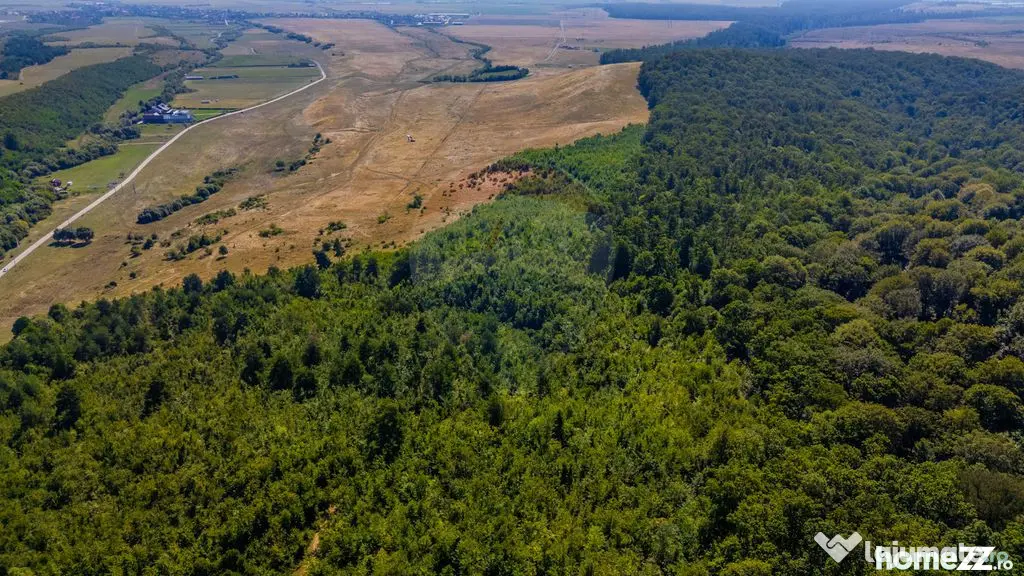 Teren 6,000mp Crizbav / Strada principala