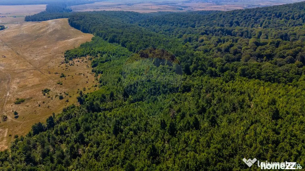 Teren 6,000mp Crizbav / Strada principala