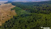 Teren 6,000mp Crizbav / Strada principala