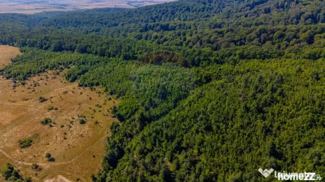 Teren 6,000mp Crizbav / Strada principala
