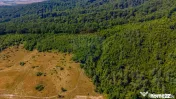 Teren 6,000mp Crizbav / Strada principala