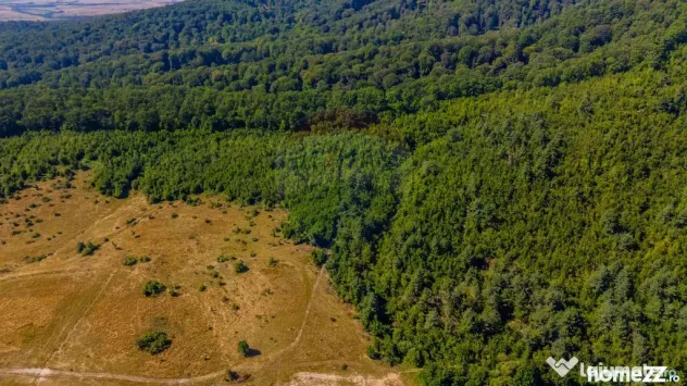 Teren 6,000mp Crizbav / Strada principala