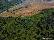 Teren 6,000mp Crizbav / Strada principala 