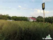 Adunatii Copaceni, teren 1212 mp, hala 136 mp, casa 37.5 mp 