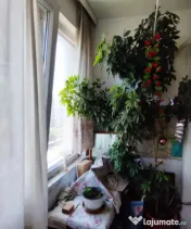 Megaocazie apartament 2 camere decomandat, etaj.8/10 – viz 