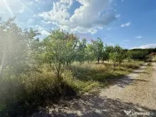 Teren Tautii-Magheraus 