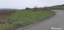 8000mp teren in Cluj str. Soporului.