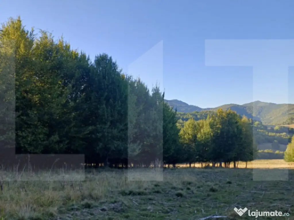 Teren extravilan in inima naturii