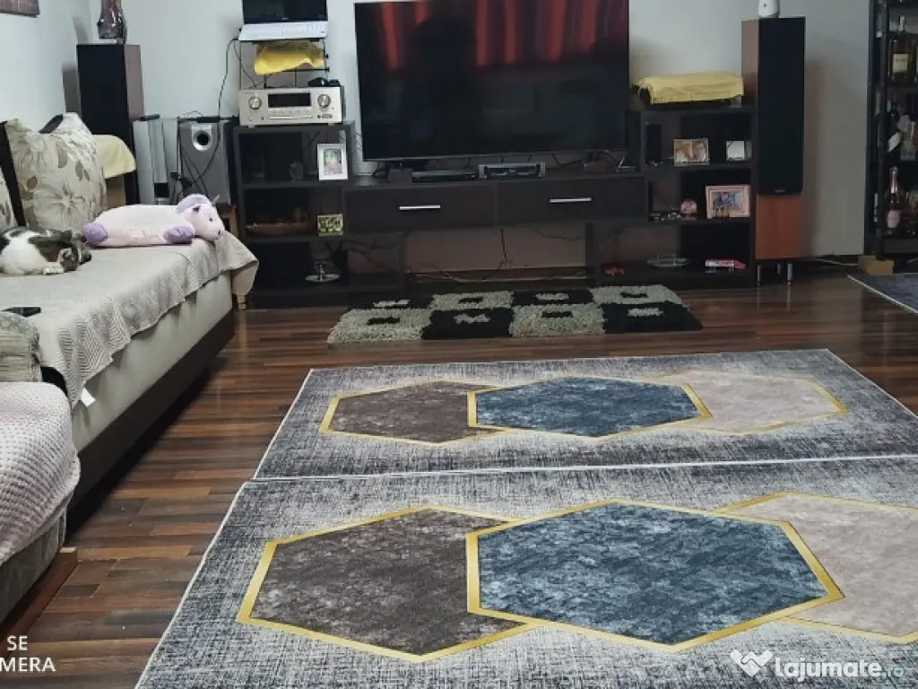 Busteni-garsoniera cf 1