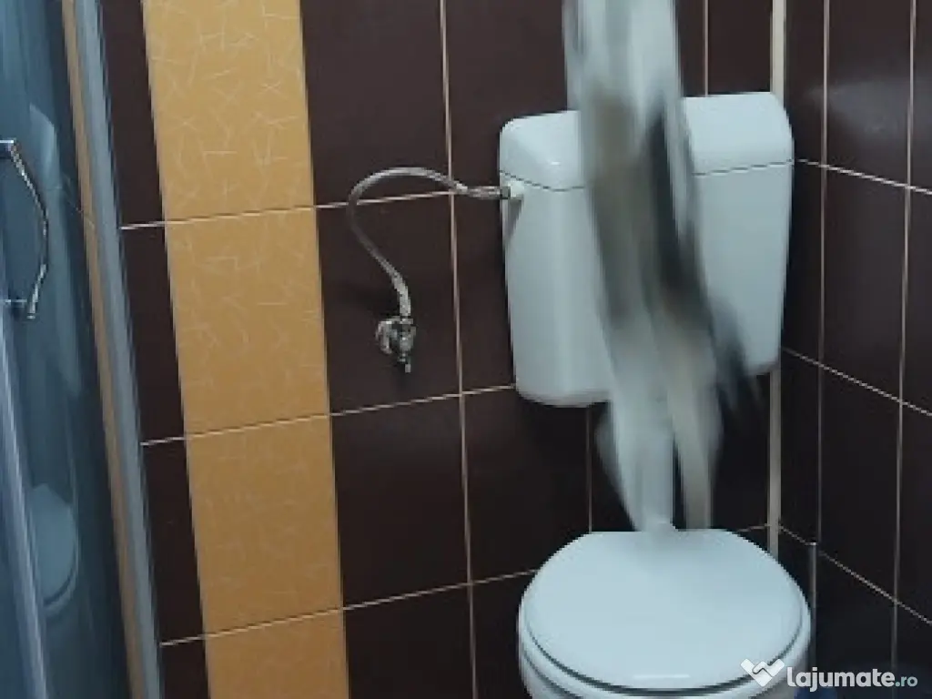 Busteni-garsoniera cf 1