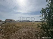 RECO Teren intravilan zona Borsului 5043 mp 