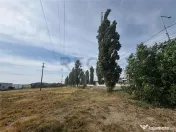 RECO Teren intravilan zona Borsului 5043 mp 