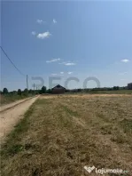 RECO teren în Paleu