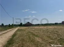 RECO teren în Paleu