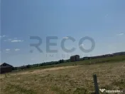 RECO teren în Paleu 