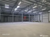 Depozit/hala/spatiu industrial Mogosoaia - Buftea 