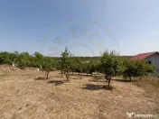 Casa Podul Broșteni- Arges! 