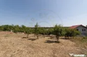 Casa Podul Broșteni- Arges!