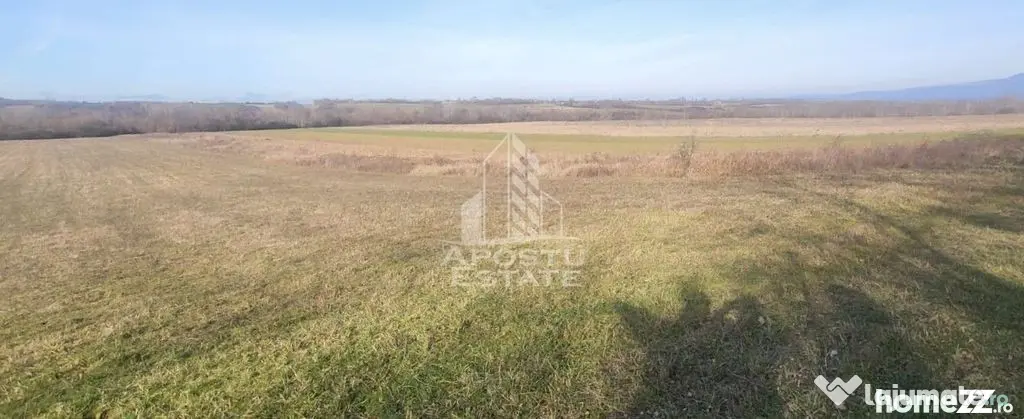 Teren mixt de 10.000 mp, ideal pentru investitie, Barsa - Barsa (Arad)