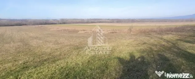 Teren mixt de 10.000 mp, ideal pentru investitie, Barsa - Barsa (Arad)
