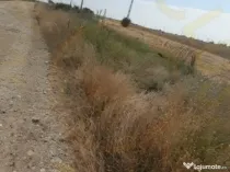 0% COMISION !!! TEREN INTRAVILAN - BRADU