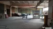 Spațiu industrial hale cu teren in zona Mihai Bravu Ploi... 