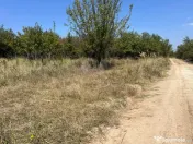 Teren intravilan 5744 mp Mosoaia-Prunilor 