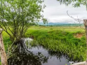 Teren Bran -Sohodol, Strada La mesteceni, 6900mp 