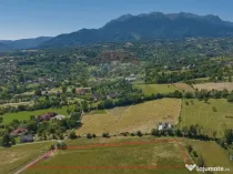 Teren Bran -Sohodol, Strada La mesteceni, 6900mp