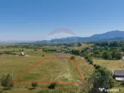 Teren Bran -Sohodol, Strada La mesteceni, 6900mp 