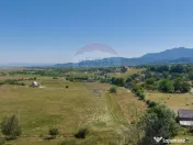 Teren Bran -Sohodol, Strada La mesteceni, 6900mp 