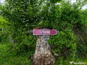 Teren Bran -Sohodol, Strada La mesteceni, 6900mp 