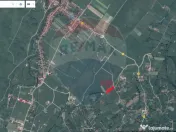 Teren Bran -Sohodol, Strada La mesteceni, 6900mp 