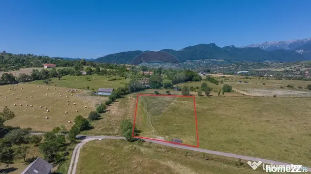 Teren Bran -Sohodol, Strada La mesteceni, 6900mp