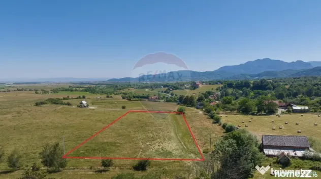 Teren Bran -Sohodol, Strada La mesteceni, 6900mp