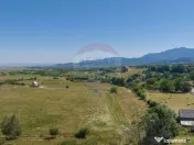 Teren Bran -Sohodol, Strada La mesteceni, 6900mp 