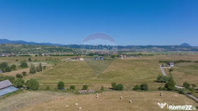 Teren Bran -Sohodol, Strada La mesteceni, 6900mp