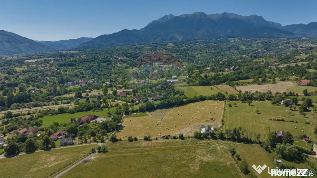 Teren Bran -Sohodol, Strada La mesteceni, 6900mp