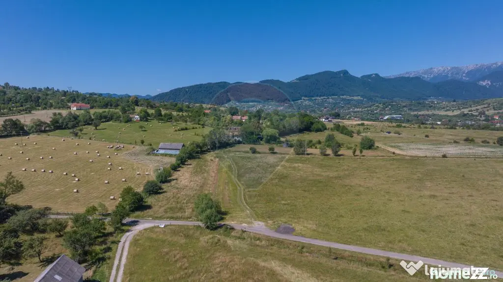 Teren Bran -Sohodol, Strada La mesteceni, 6900mp
